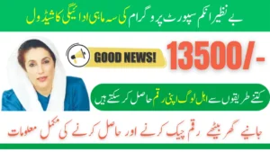Benazir Income Support Programme 13500 Quarterly Payment Schedule And Withdrawal Method 2026