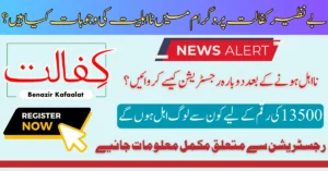 Benazir Kafaalat Program Ineligibility Reasons How To Become Eligible For BISP 13500 Payment In 2026