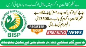 Benazir Kafaalat Stipend Reapply Ineligibility Criteria And Resolve Of Common Issues In 2026