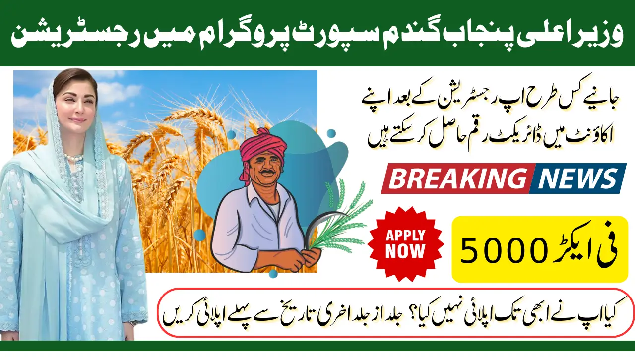 CM Punjab Wheat Program 5000 In 2025 Know Step By Step Registration Process And Requirements