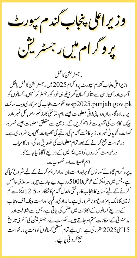 CM Punjab Wheat Program 5000 In 2025 Know Step By Step Registration Process And Requirements
