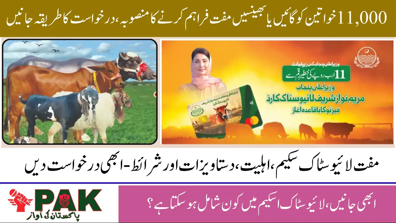 CM Punjab Free Livestock Program for Abandoned and Bereaved Women, Recent Developments and Sign-Up Link