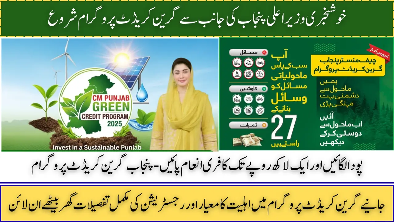CM Punjab Green Credit Program, Progress, Reports, and Success Stories