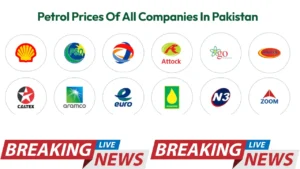 Govt Approves Petrol Price Increase Effective January 1, 2026 Comprehensive Analysis Inside