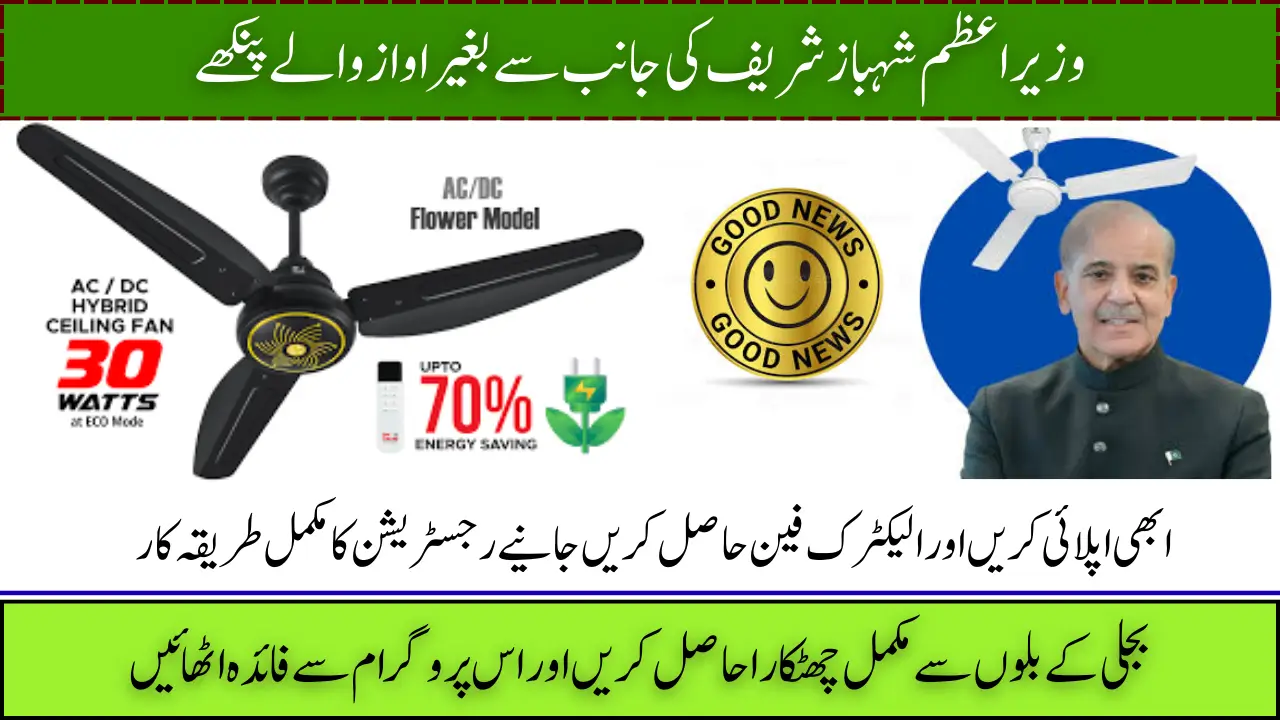Punjab E-Fan Subsidy Program 2025, Affordable Energy-Saving Fans for Homes