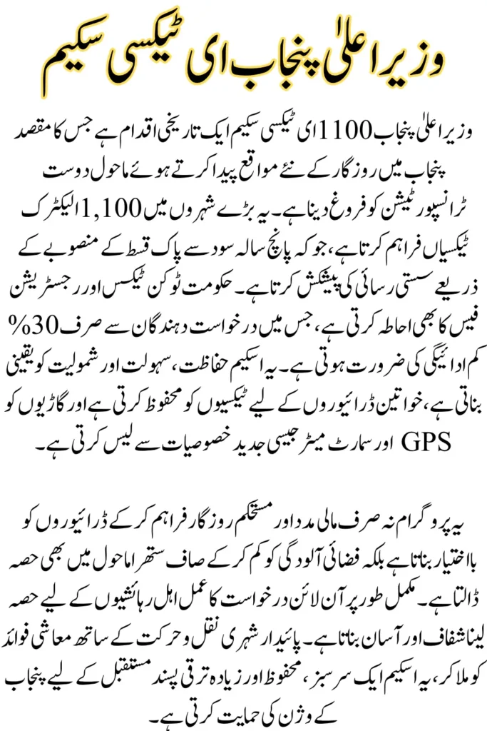 CM Punjab E-Taxi Scheme 2025, Government Subsidies and Bank Financing Options