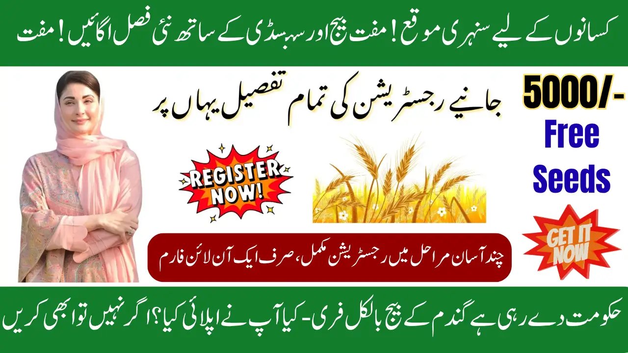 CM Punjab Grow More Wheat Program 2025; Register Now for Free Seeds & Subsidy
