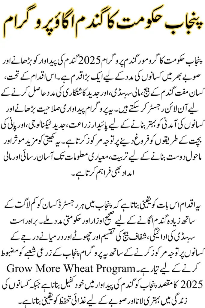 CM Punjab Grow More Wheat Program 2025; Register Now for Free Seeds & Subsidy