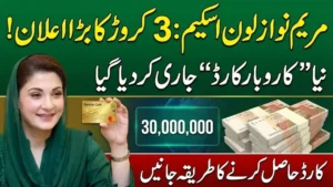 Maryam Nawaz Loan Scheme Of Upto 30 Million For Small And Medium-sized Businesses In 2026