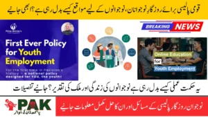 National Youth Employment Policy, Notable Elements and Implementation Plan