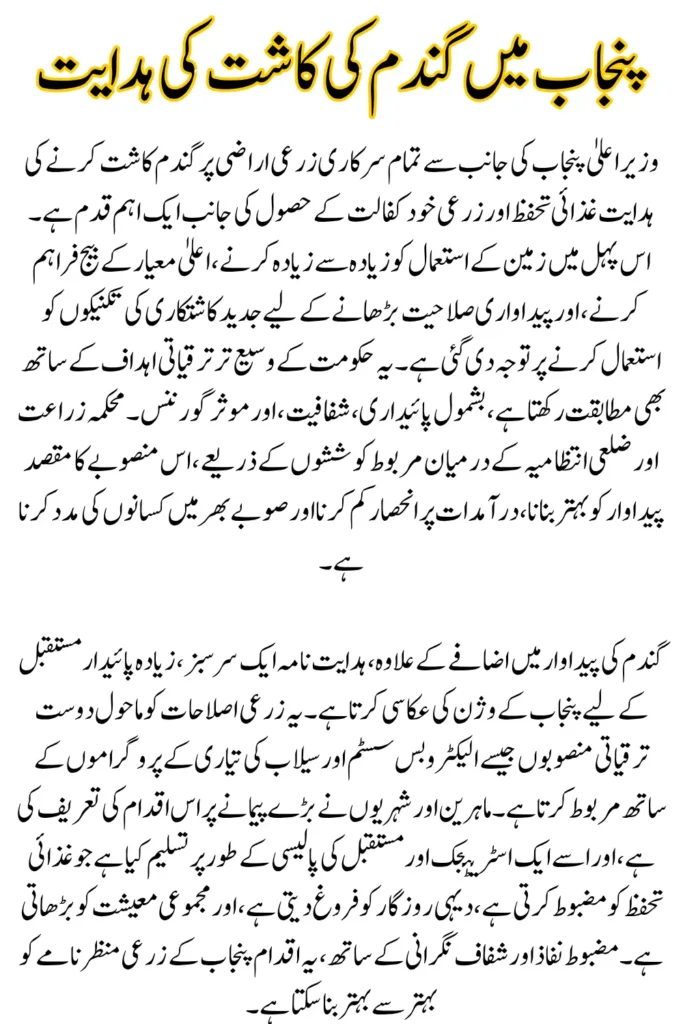 Punjab Chief Minister Directs Wheat Farming on State-Owned Lands, Complete Overview