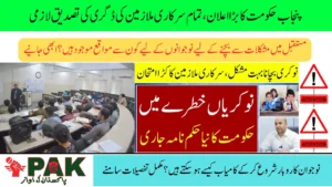 Punjab Govt Orders Degree Verification of All Government Employees, Major Announcement