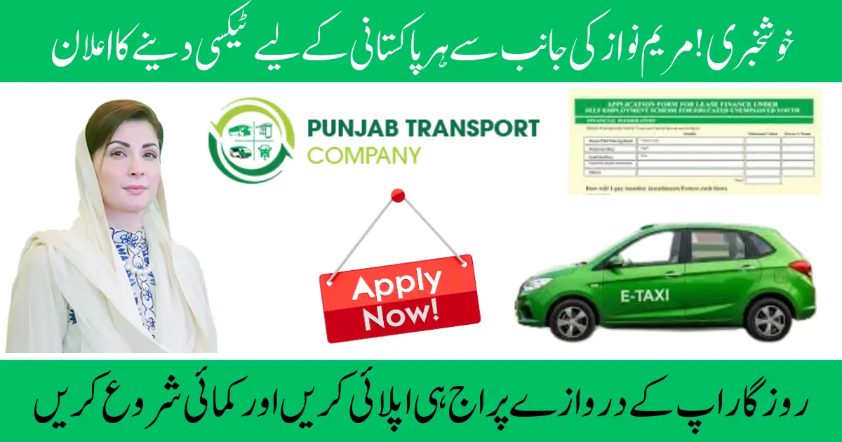 CM Punjab E-Taxi Scheme 2025, Government Subsidies and Bank Financing Options