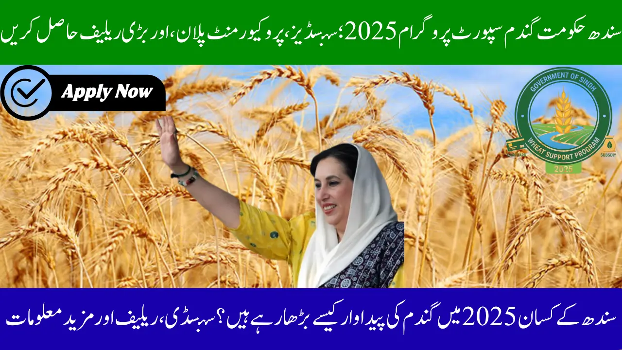 Sindh Govt Wheat Support Program 2025; Get Subsidies,  Procurement Plan, and Major Relief