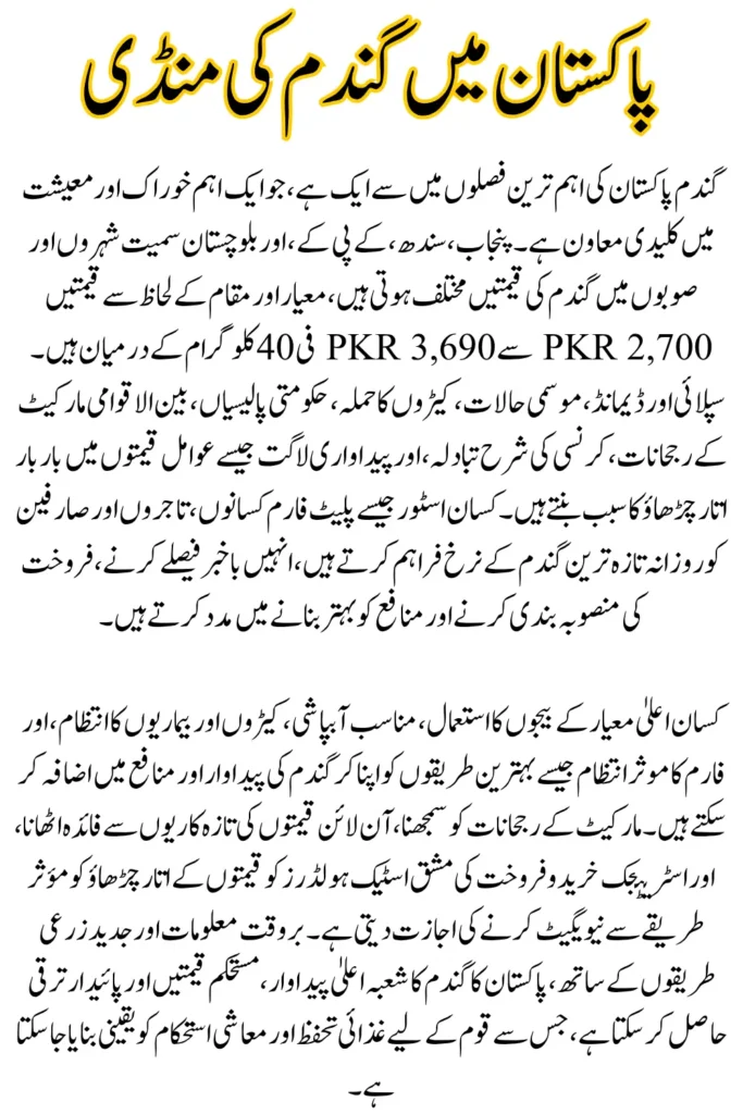 Wheat Price List Pakistan 2025, Stay Updated on Market Fluctuations, and Check Prices Online
