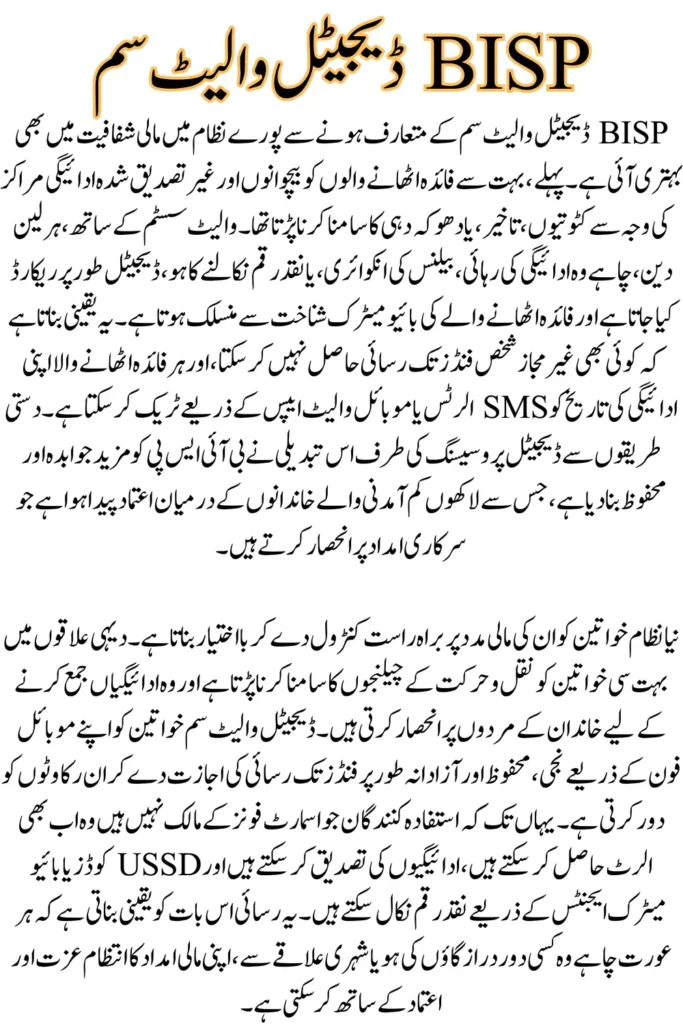 BISP 8171 Digital Wallet SIM System 2025 – Complete Login, Verification & Payment Guide for Beneficiaries