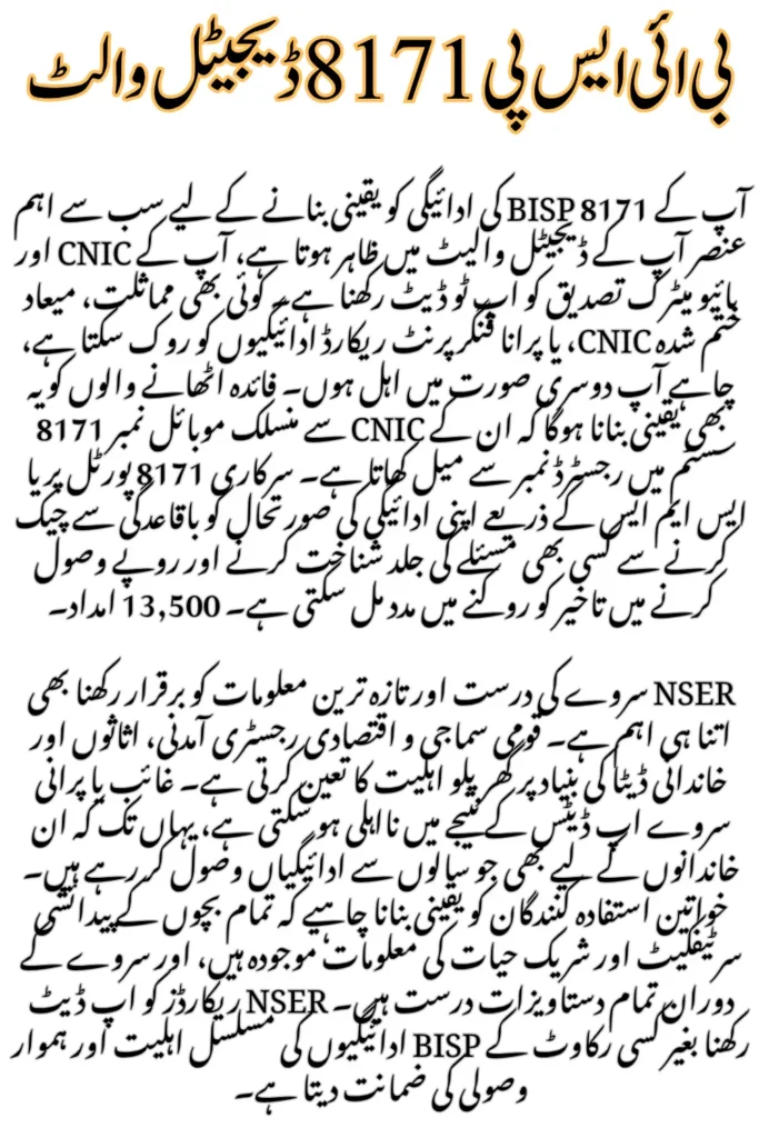 BISP Wallet Payment Not Showing? Resolve 8171 Missing Transaction Issue